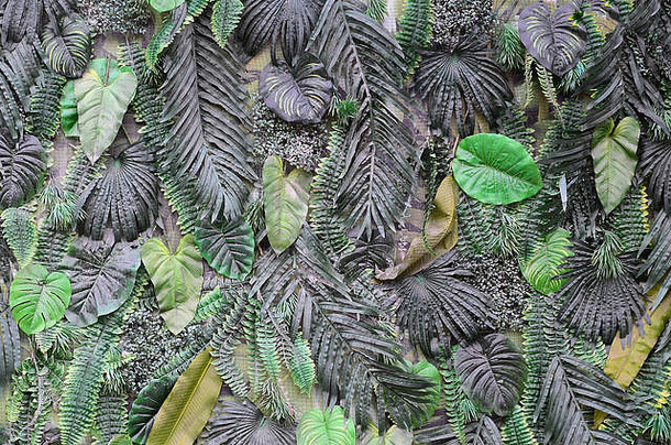 背景为热带绿叶，墙上有蕨类、棕榈和美味怪兽叶。花卉丛林图案概念背景特写