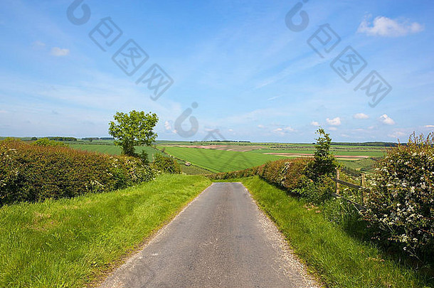 夏天的<strong>英国风景</strong>，田野、山楂树篱和乡村公路旁的草地。