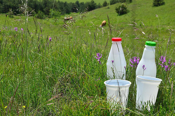 两个塑料奶瓶和奶杯，用于在丘陵地带放牧奶牛的牧场上生产乳制品