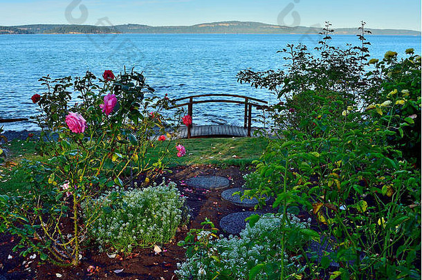 <strong>花</strong>园玫瑰俯瞰水的边缘小行人桥在海假期度假胜地纳奈莫温哥华岛