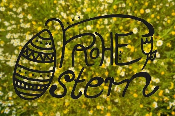 黛西黄色的花草地书法喜鸹意味着快乐复活节