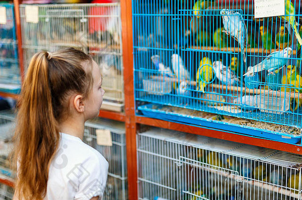 女孩鸟笼子里出售鸟市场集市瓦吉夫多哈回合谈判受欢迎的旅游目的地