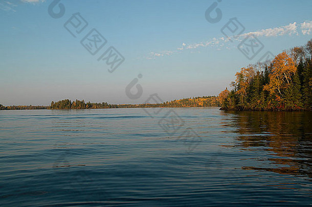 秋天树森林湖边凯诺拉湖森林安大略加拿大