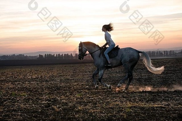 年轻的金发女郎女孩骑马场日落