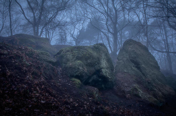 巨大的巨石堵塞了通往后方轮廓林地的通道。空气中弥漫着浓雾，岩石上青苔青苔。