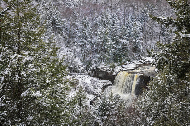新鲜的外套雪辣椒松树框架黑水公司瀑布创建组合成的变形冬天仙境景观