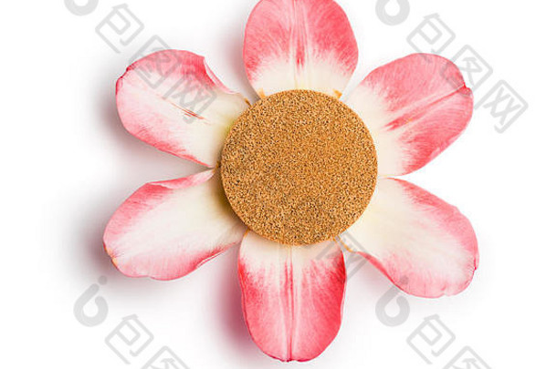 粉底花瓣垫在白色背景上的六朵粉红色花瓣上。