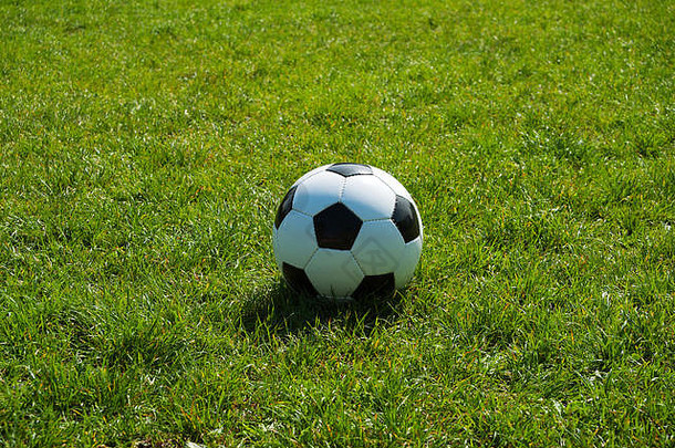 足球黑白经典在绿草中独享空间