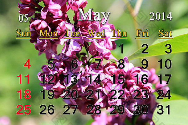 2014年5月的日历，以丁香花枝为背景