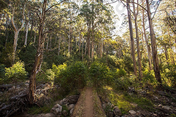 在澳大利亚维多利亚州布勒山米林巴附近，一条名为德拉提特河小径的<strong>史诗级</strong>步行和自行车赛道的基地
