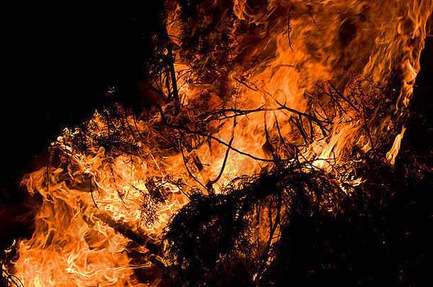 燃烧干燥森林的特写镜头。