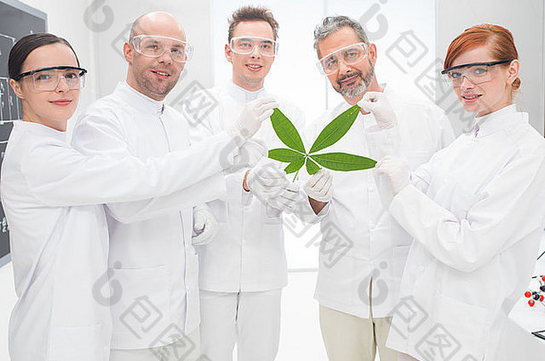 一个由五名男女科学家组成的小组，他们在一个基因工程实验室里手持一片转基因叶子