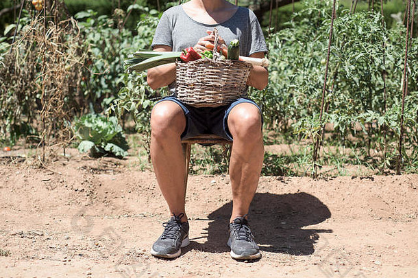 特写镜头：一个年轻的白人男子坐在户外，膝盖上放着一个乡下篮子，里面装满了有机果园里新采集的蔬菜