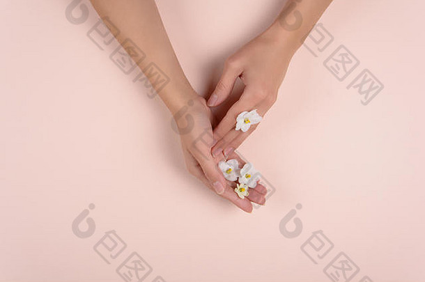 粉红色背景上有白花的手。护肤理念。顶视图。拷贝空间