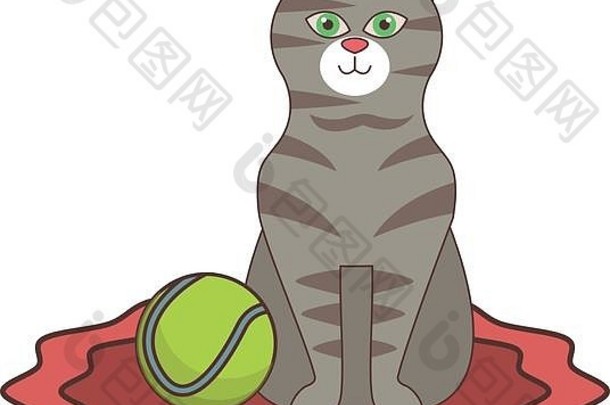 带网球的可爱猫