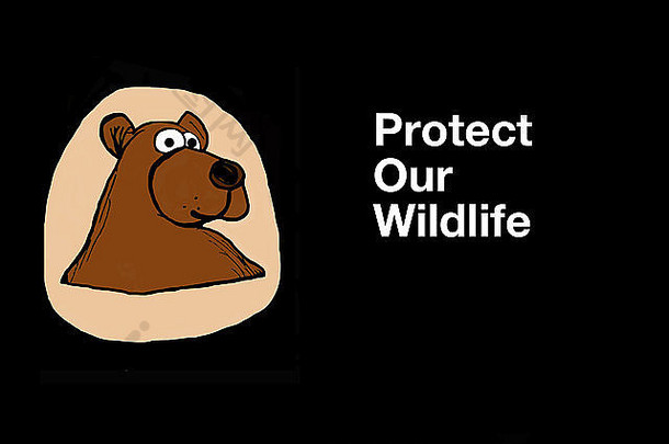 一只棕熊的动物插图，上面写着“保护我们的野生动物”。