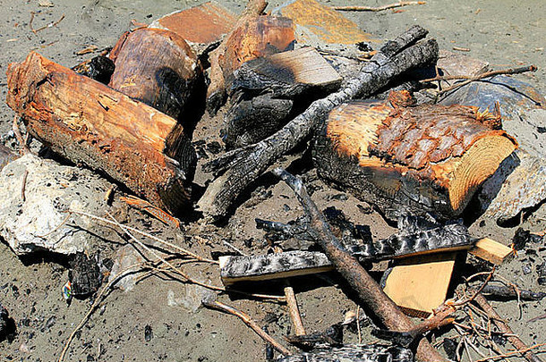 加拿大<strong>海滩</strong>上一堆烧焦的柴火残骸