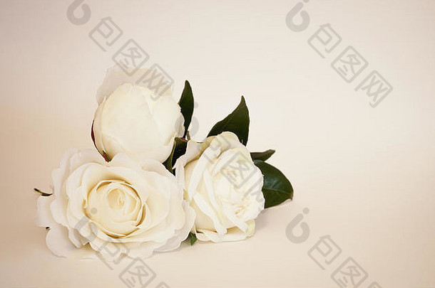 柔和背景下美丽的人造白玫瑰。简约的<strong>母亲节</strong>庆祝<strong>活动</strong>与空间。