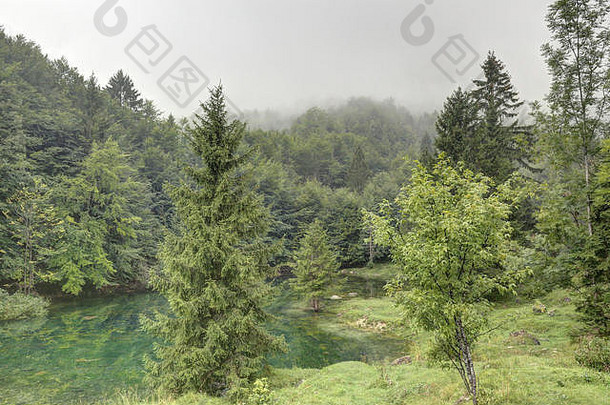意大利阿尔卑斯山蒙塔格诺尔巴斯山脉中的一个绿色小湖，雨后不久，乌云密布，草地和树木潮湿。