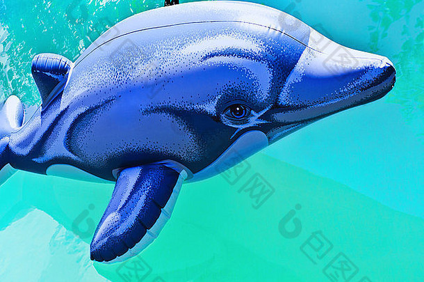 海滩空气海豚