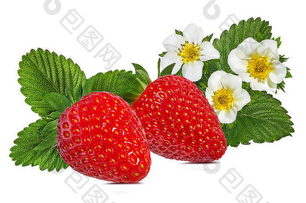白色背景上有花的草莓