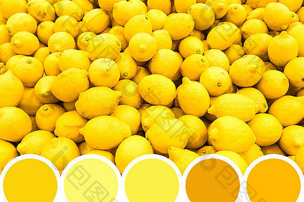 颜色调色板黄色的柠檬水果市场