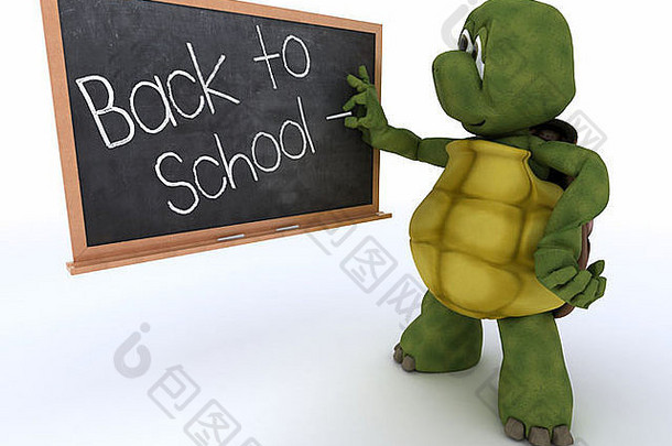 用学校黑板三维渲染乌龟