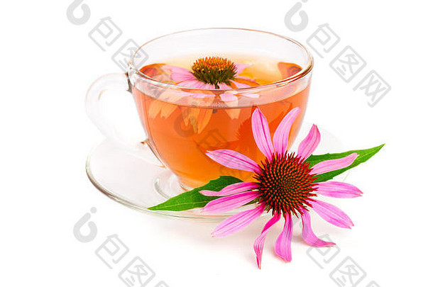 在白色背景上分离的紫锥菊茶。药茶