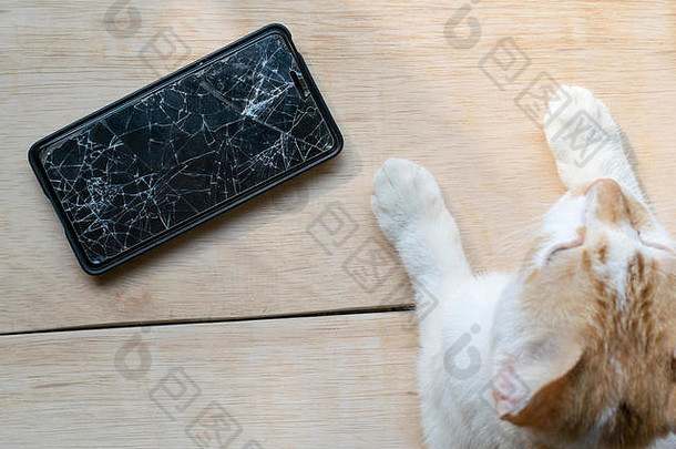 智能手机损坏、意外开裂或损坏，以及cat