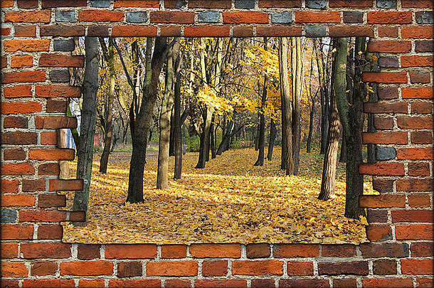 破碎的砖墙视图秋天公园黄色的树