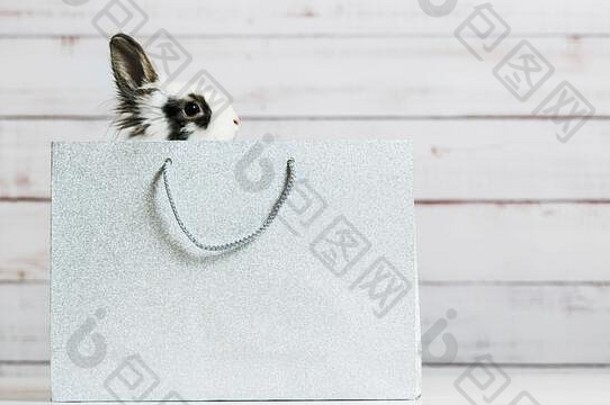 特写镜头可爱的白色兔子坐着银纸袋概念礼物现在复活节圣诞节霍利迪