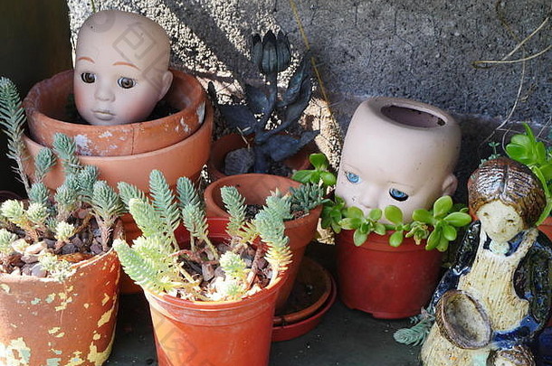 Terracotta花锅花园显示娃娃头