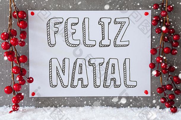 标签，雪花，装饰，Feliz Natal意味着圣诞快乐