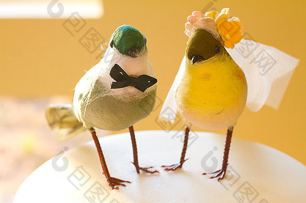 显示鸟羽毛坚持蛋糕高档的东西鸟代表新娘新郎