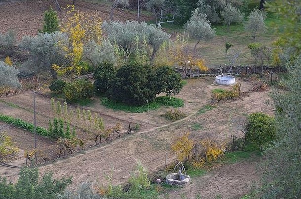 果园较低的瓜迪亚纳谷alentejo阿尔加夫南部葡萄牙