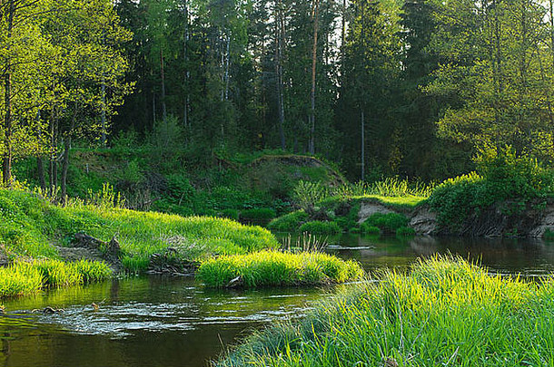 流经森林的伊斯洛赫小河。