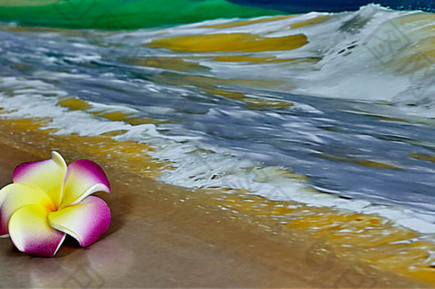 一种粉色和黄色的夏威夷花，羽衣甘蓝，躺在沙滩上，背景为波浪，景深较浅