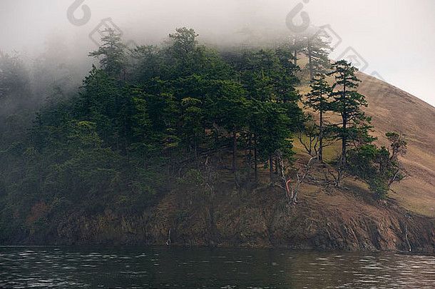 美国华盛顿州圣胡安岛链上的一个雾笼罩的岛屿。