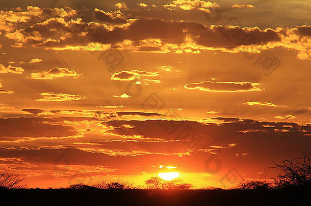 日落非洲金光自然