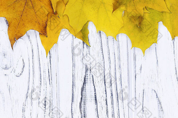 黄色的秋天叶子木背景复制空间