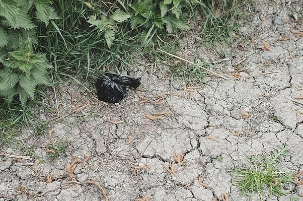 在公园里看到被不正当丢弃的狗粪袋。丢弃的袋子靠近儿童游戏区。