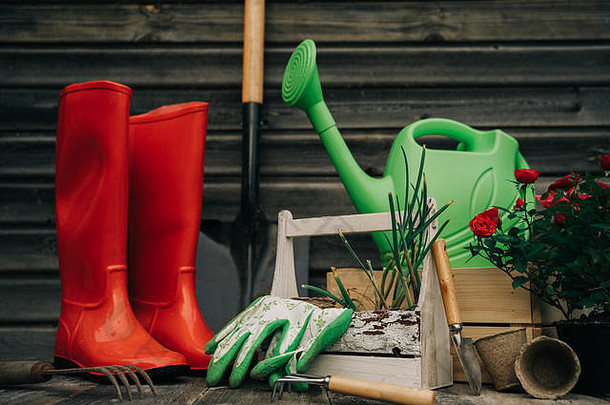 铲子，水壶，帽子，橡胶靴，一盒花，手套和园艺工具