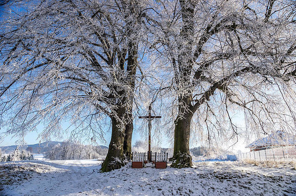 波兰下西里西亚，路边小教堂被覆盖着<strong>霜冻</strong>的古<strong>树</strong>环绕