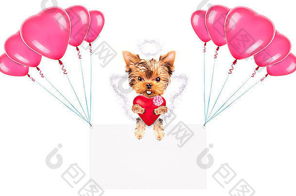 假期横幅<strong>气球</strong>情人节小狗狗持有红色的心