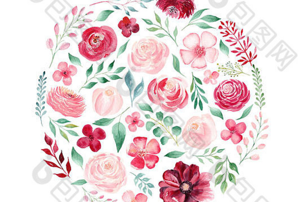 花卉和树叶水彩手绘光栅圆形插图。盛开的小枝、牡丹、菊花、玫瑰。盛开美丽的粉红色植物。