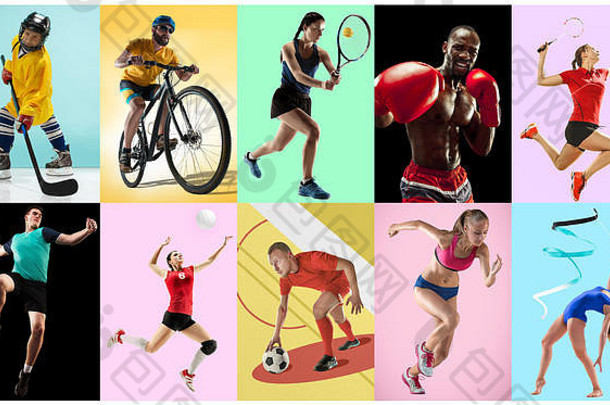 关于运动员或运动员的体育拼贴。网球、跑步、羽毛球、艺术体操、排球、拳击、手球、冰球、足球、自行车等概念。在时尚的色彩背景下，适合男女运动。