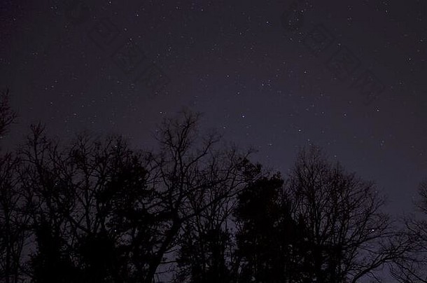 夜空中的黑树剪影与星星在一起