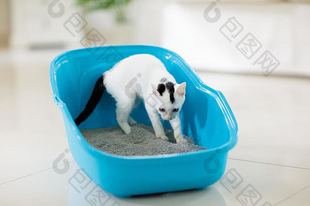 猫垃圾盒子白色小猫厕所。。。沙子填料首页宠物护理卫生如厕培训年轻的动物猫砂盆猫