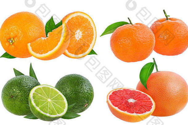 白色背景上分离的柑橘类水果套装（橙色、葡萄柚、酸橙、橘子或柑橘）。