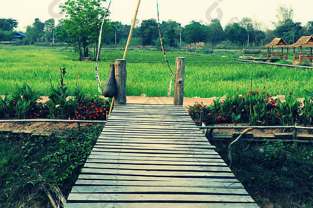 木桥穿越农业通道装饰竹子<strong>钓鱼工具</strong>文化公园农业自然文化概念